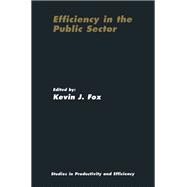 Efficiency in the Public Sector