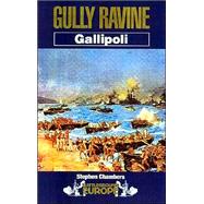 Gully Ravine