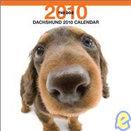Dachshund 2010 Calendar