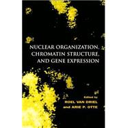 Nuclear Organization, Chromatin Structure, and Gene Expression