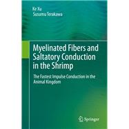 Myelinated Fibers and Saltatory Conduction in the Shrimp