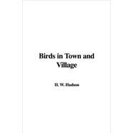 Birds In Town And Village