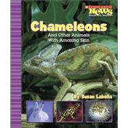 Chameleons And Other Animals With Amazing Skin