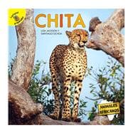 Chita/ Cheetah