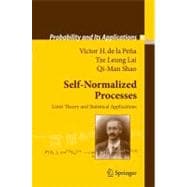 Self-normalized Processes