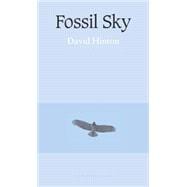 Fossil Sky