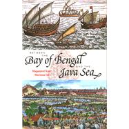 Between the Bay of Bengal and the Java Sea Trade Routes, Ancient Ports and Cultural Commonalities in Southeast Asia