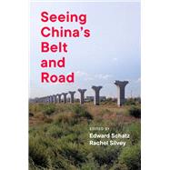 Seeing China's Belt and Road