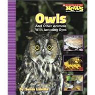 Owls And Other Animals With Amazing Eyes