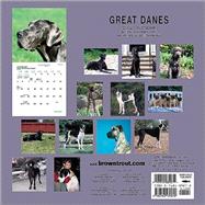 Great Danes 2002 Calendar