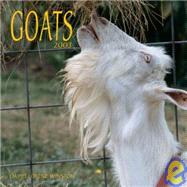 Goats 2003 Calendar