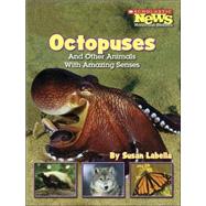 Octopuses And Other Animals With Amazing Senses