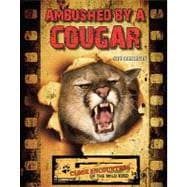 Ambushed By A Cougar