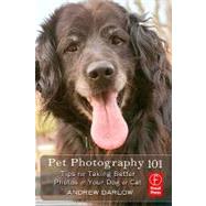 Pet Photography 101 : Tips for Taking Better Photos of Your Cat or Dog