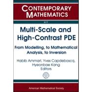 Multi-Scale and High-Contrast PDE