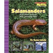 Salamanders And Other Animals With Amazing Tails