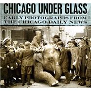 Chicago under Glass : Early Photographs from the Chicago Daily News