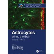 Astrocytes