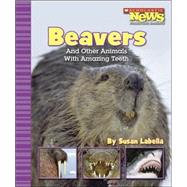 Beavers And Other Animals With Amazing Teeth