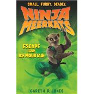 Ninja Meerkats (#3): Escape from Ice Mountain