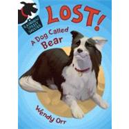 LOST! A Dog Called Bear