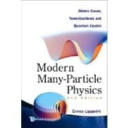 Modern Many-Particle Physics : Atomic Gases, Nanostructures and Quantum Liquids