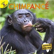Chimpancé/ Chimpanzee