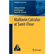 Malliavin Calculus at Saint-flour