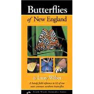 Butterflies of New England