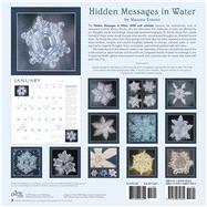 Hidden Messages in Water Calendar