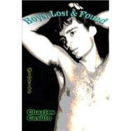 Boys, Lost and Found : Stories