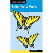Butterflies & Moths,9780762779338