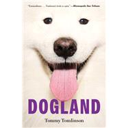 Dogland Passion, Glory, and Lots of Slobber at the Westminster Dog Show