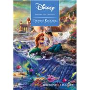 Disney Dreams Collection 2020 Monthly Planner