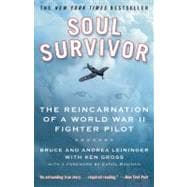 Soul Survivor The Reincarnation of a World War II Fighter Pilot