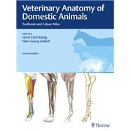 Veterinary Anatomy of Domestic Animals