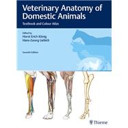 Veterinary Anatomy of Domestic Animals