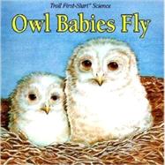 Owl Babies Fly