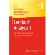 Lernbuch Analysis