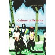 Culture in Practice : Selected Essays