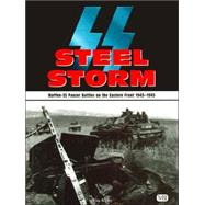 SS Steel Storm : Waffen-SS Panzer Battles on the Eastern Front, 1943-1945