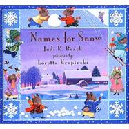 Names for Snow