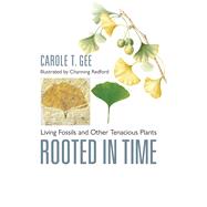 Rooted in Time