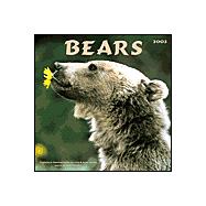 Bears 2003 Calendar
