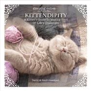 Kittendipity A Kitten's Guide to Making Good of Life's Challenges