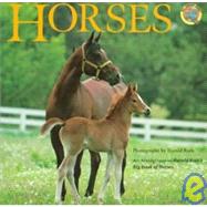 Horses: An Abridgment of Harold Roth's Big Book of Horses