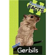 Fantastic Facts About Gerbils
