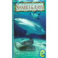 Sharks & Rays
