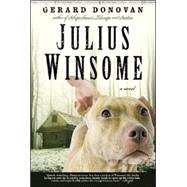 Julius Winsome A Novel