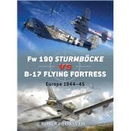Fw 190 Sturmböcke vs B-17 Flying Fortress Europe 1944–45